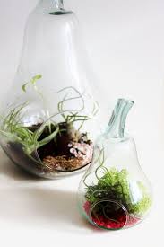 Uk Seller Small Pear Shaped Recycled Glass Bottle By Prilbot 39 99 Terrarium Recycled Glass Pear