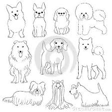 Group Of Small Dogs Hand Drawn Line Art By Pen Dog Drawing Simple Hand Drawn Vector Illustrations How To Draw Hands