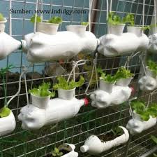 We did not find results for: 10 Instalasi Kebun Hidroponik Botol Plastik Bekas Kreatif Urban Hidroponik