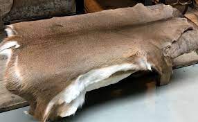 Georges takes up the challenge and brings along his digital camera to make a. Pin On Animal Skins
