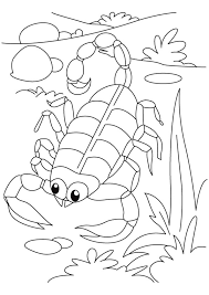 Five little ducks coloring pages. Scorpion Coloring Pages Books 100 Free And Printable