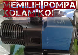Filter tabung kolam ikan koi hias aquaponik paket (tanpa pompa air)rp290.000: 5 Tips Memilih Pompa Kolam Ikan Koi Ikikoiku