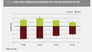 It has about 250 species of reptiles, 150 species of snakes and a thousand species of insects. What We Got Right On Deforestation In The Past Decade Ecosystem Marketplace