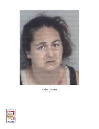 PRESS RELEASE UPDATE: Lexington Police Investigate Serious Traffic Crash  with Injured Juveniles LEXINGTON, NC