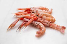 Questi crostacei sono abili nuotatori di color rosa con delle macchie marroni. 10 Regole Per Comprare I Migliori Gamberi Scampi Astici E Aragoste