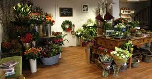 Jilland Com The Leading Jill And Site On The Net Flower Shop Interiors Flower Shop Flower Shop Display