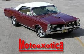 Image result for Burgundy 1966 GTO