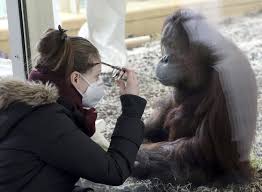 Philadelphia zoo is open daily. Zoos Scientists Aim To Curb People Giving Virus To Animals