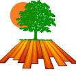 Horizon Forest Products - Hardwood Floors Magazine