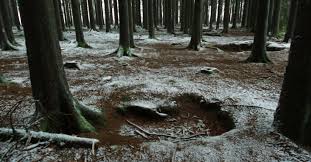 Bastogne, a town in the belgian ardennes, scene of an epic defense by american troops during the battle of the bulge in world war ii. The Real Easy Company Foxholes Bois Jaques Bastogne The Battlefield Explorer Tours