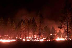 Check spelling or type a new query. Bootleg Fire Evacuations Expand Tamarack Fire Near Lake Tahoe Forces Residents To Leave Oregonlive Com
