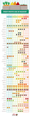 Seasonal Fruit Chart