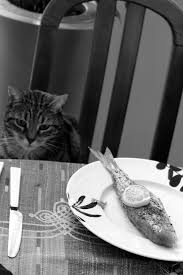 Epingle Sur Black White Grey