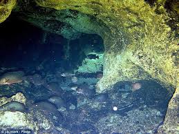 It's like dropping down into a whole new world as you swim through giant passageways that have taken tens of thousands of years to form. kagan schott also cautioned that training and experience is paramount. Why Did Patrick Peacock And Chris Rittenmeyer Eagle Nest Cave Divers Ignore Death Warnings