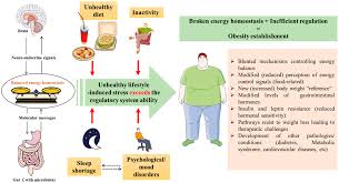 Jcm Free Full Text Broken Energy Homeostasis And Obesity Pathogenesis The Surrounding Concepts Html