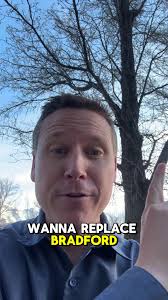 Bradford Pear Tree Vs Cherry Tree