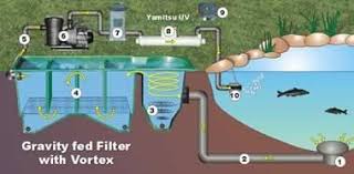 Aquaponics Great Affordable Backyard Ideas Kolam Halaman Belakang Kolam Ikan Berenang
