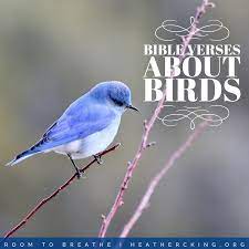 And when the vultures came. Bible Verses About Birds Heather C King Room To Breathe