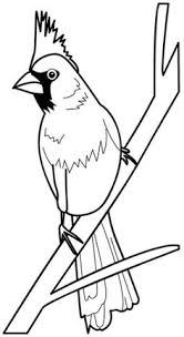 It can also represent hope and r. 37 Cardinal Bird Coloring Pages Ideas Bird Coloring Pages Coloring Pages Cardinal Birds