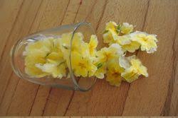Kreuzworträtsel lösungen mit 9 buchstaben für mit zucker haltbar machen. Primel Kandierte Blumen