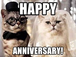 Happy Anniversary Cats Google Search Happy Anniversary Funny Anniversary Funny Happy Anniversary