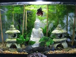 And because they are relatively to get. Asian Themed Fish Tank Decorations Online