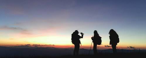How to Find Your Perfect Travel Companion