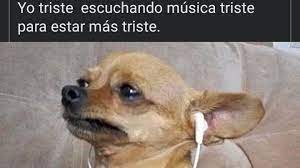 Olá galera espero que gostem desse meu vídeo com top 10 músicas triste para memes músicas tristes para memes música. Latest Updates From Yo Triste Escuchando Musica Triste Para Estar Triste Facebook