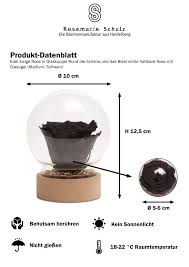 Nur die naturverbundene belle ist glücklich darüber. Blumen Kunstliche Pflanzen Konservierte Rose In Glasglocke Die Schone Und Das Biest Bunten Infinity Rose Mobel Wohnen Raizlatina Com Br