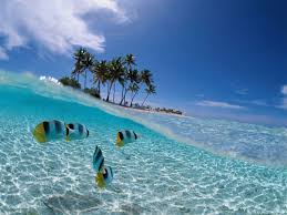 It is located in the caribbean sea (or caribbean sea), near the coast of the united states and mexico. Kuba Iati Turizm Info