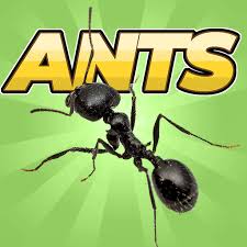Jan 30, 2021 · ant colony 3d: Pocket Ants Colony Simulator Download Apk For Android Free Mob Org