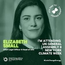 Caro Marcelle Brown Msc CMA CIA CFE.