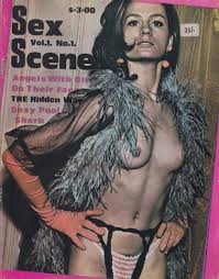 Vintage Adult Sex Scene magazine For Sale