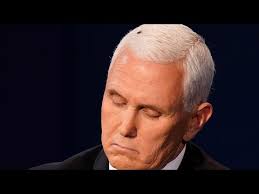 Fly Lands On Mike Pence S Head During Debate Youtube
