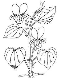 Viola disegno da colorare clipart fiore selvaggio. Monster Coloring Pages Coloring Pages Flower Coloring Pages