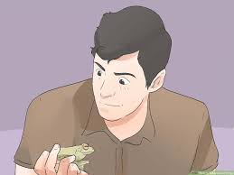 What is the best pet frog? How To Take Care Of Frogs 15 Steps With Pictures Wikihow