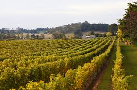 If you think that sounds like getting a meal at bunnings. Investing In Regional Nsw Why Now Is The Time You Should Consider Taking A Chance On The Coast And Country Hotspots