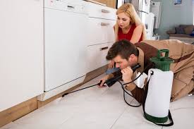 Locally owned and operated, greenville pest control provides effective pest management for homes and businesses all throughout greenville, south carolina. Should You Do Your Own Pest Control Sargent Pest Solutions