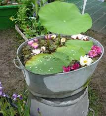 Bassin Zinc Votre Maison Votre Jardin Jardin D Eau Jardin Aquatique Tout Pour Le Jardin