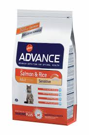 Advance Cat Somonlu Yetiskin Acik Kedi Mamasi Cihan Akvaryum