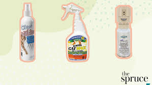 They will probably give you the stink eye—or worse, the huge teary. The 6 Best Cat Repellents Of 2021