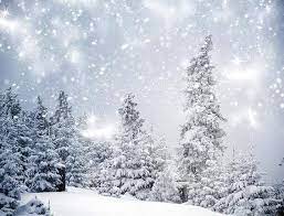 Maybe you would like to learn more about one of these? Kate Christmas Winter Wonderland With Trees Backdrop For Photography Katebackdrop