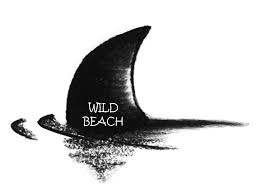 The boardwalk blog at www.watchthetramcarplease.com for daily updated news, stories, events and … watch the tramcar please. Watch The Tramcar Please Opens New Wild Beach Apparel With Unique Hand Sketched T Shirts By Tony Deutsch The Boardwalk Blog And News