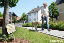 Wer hundekot nicht wegräumt, kann zur kasse gebeten werden, bestätigen die stadt weiden und das landratsamt neustadt. Hundekot Oder Warnschild Beides Stosst Ubel Auf Onetz