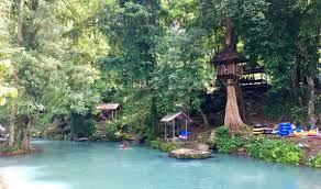 Eksperilunem > tiket wisata > harga tiket masuk the jungle terbaru 2021. Wisata Alam Hutan Lindung Sesaot Lombok Rental Mobil Lombok
