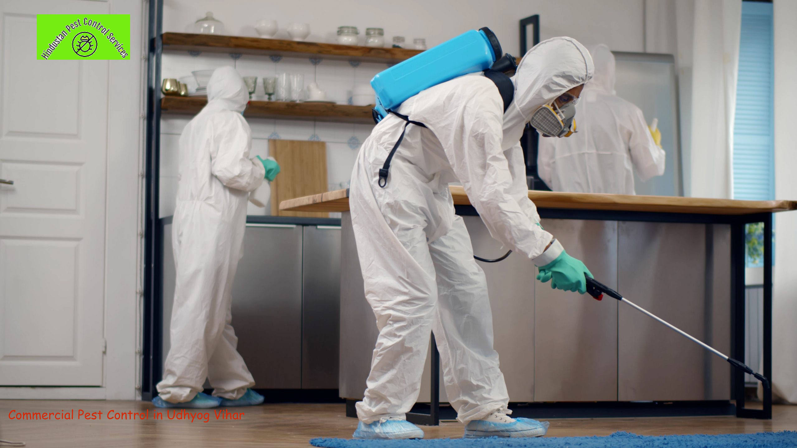 Commercial Pest Control Service in Shankar Chowk Gurgaon product image