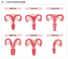【医師監修】ジネコ不妊治療情報