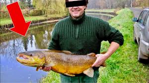 For all of you who thought, germany isn't big fish country: Unglaublich Angeln Auf Fast Ausgestorbene Fischart Scandicangler Com