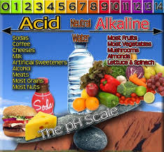 Dieterata Com Alkaline And Acid Food Combining Chart