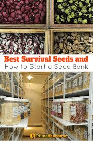 How To Start A Seed Bank Primal Survivor Survival Seeds Seed Bank Survival Food